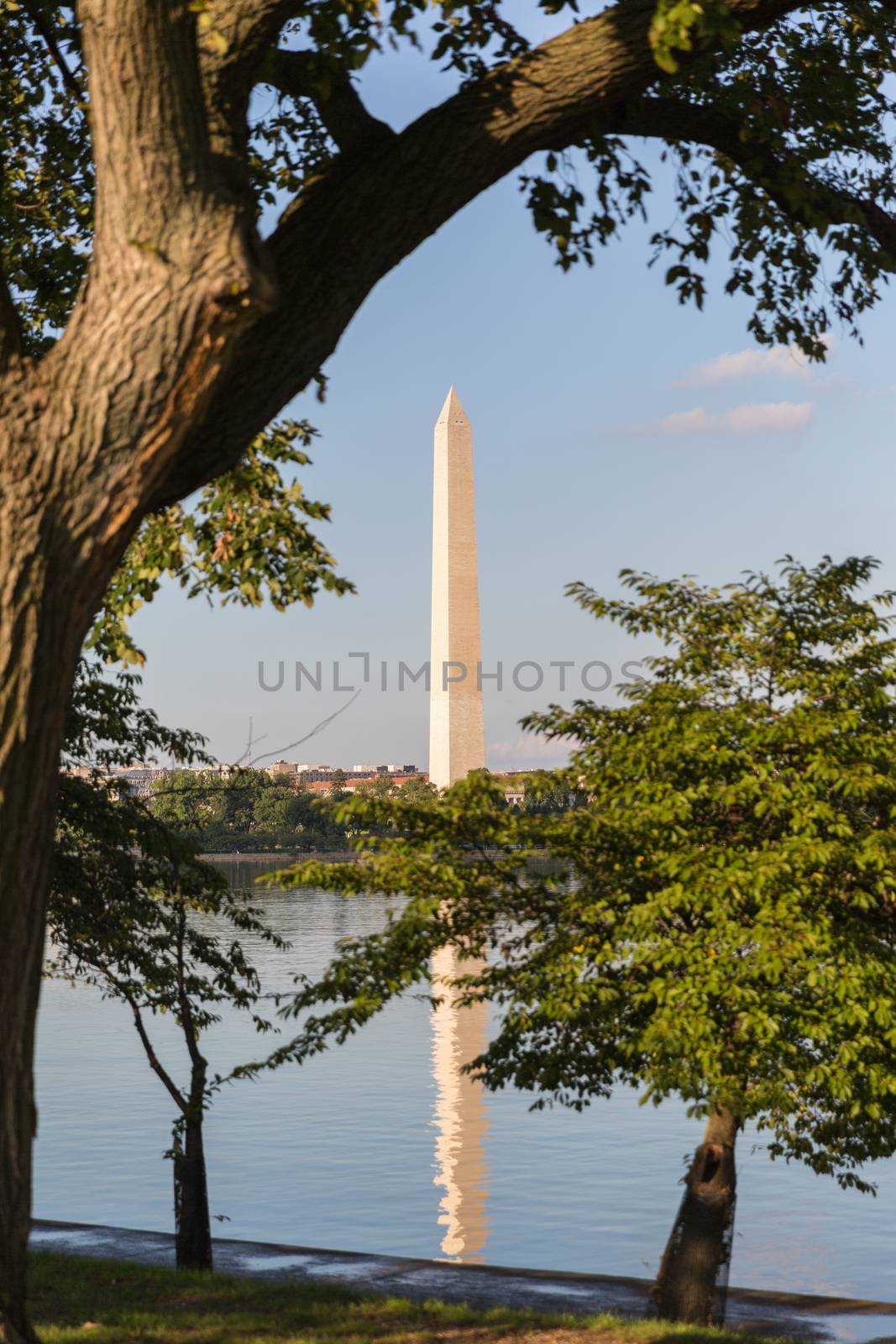 The Washington Monument on the Mall and a reflection by chrisukphoto