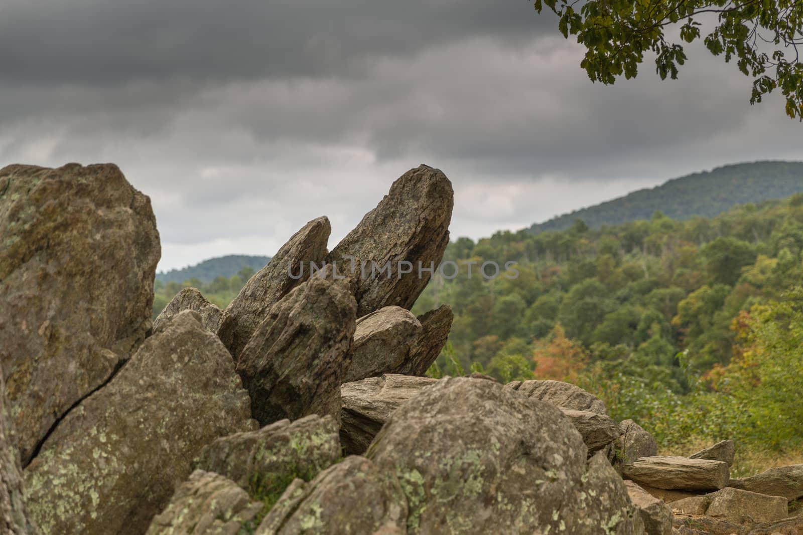 Rock formation in the Shenandoah National Park