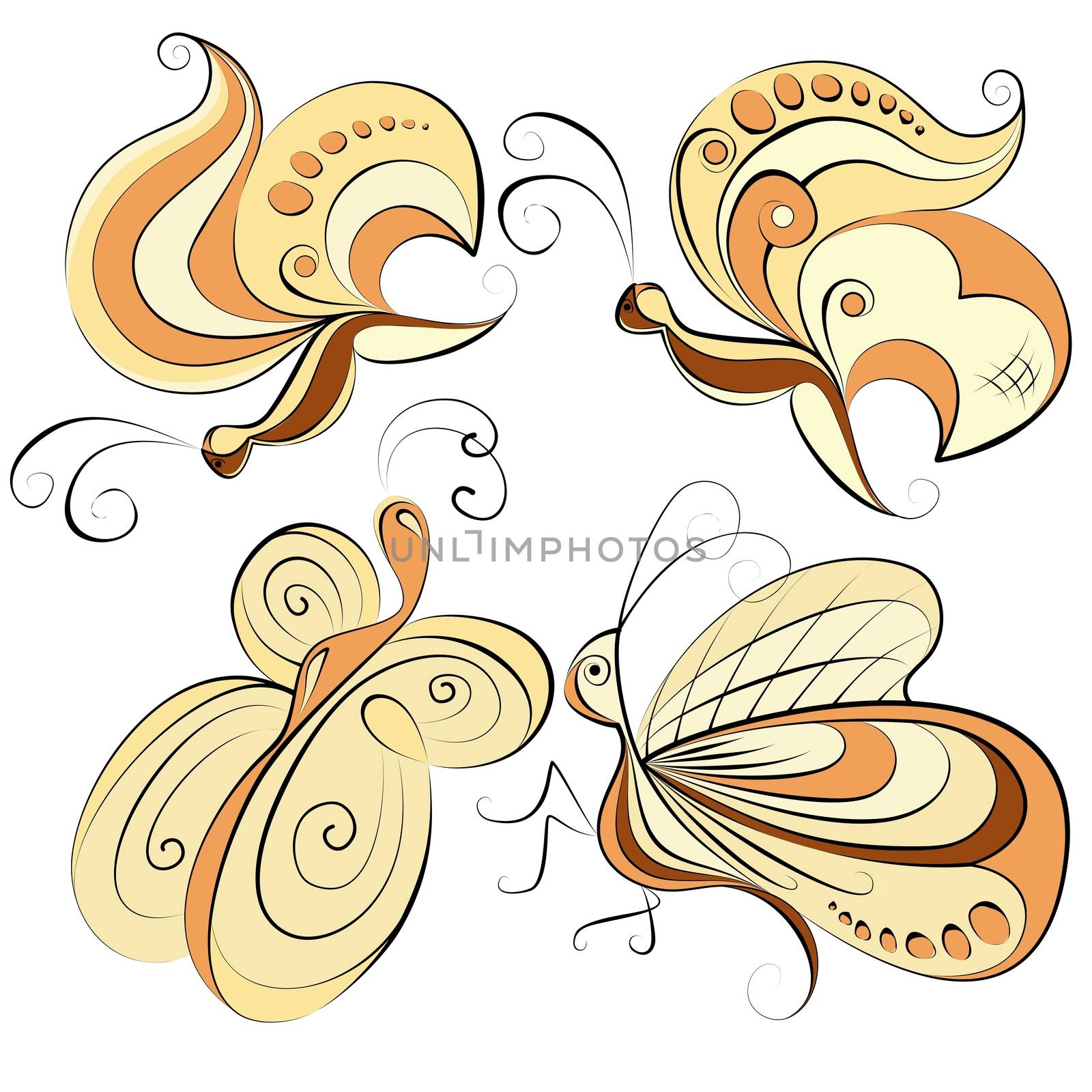 Illustration - four different butterflies on a white background
