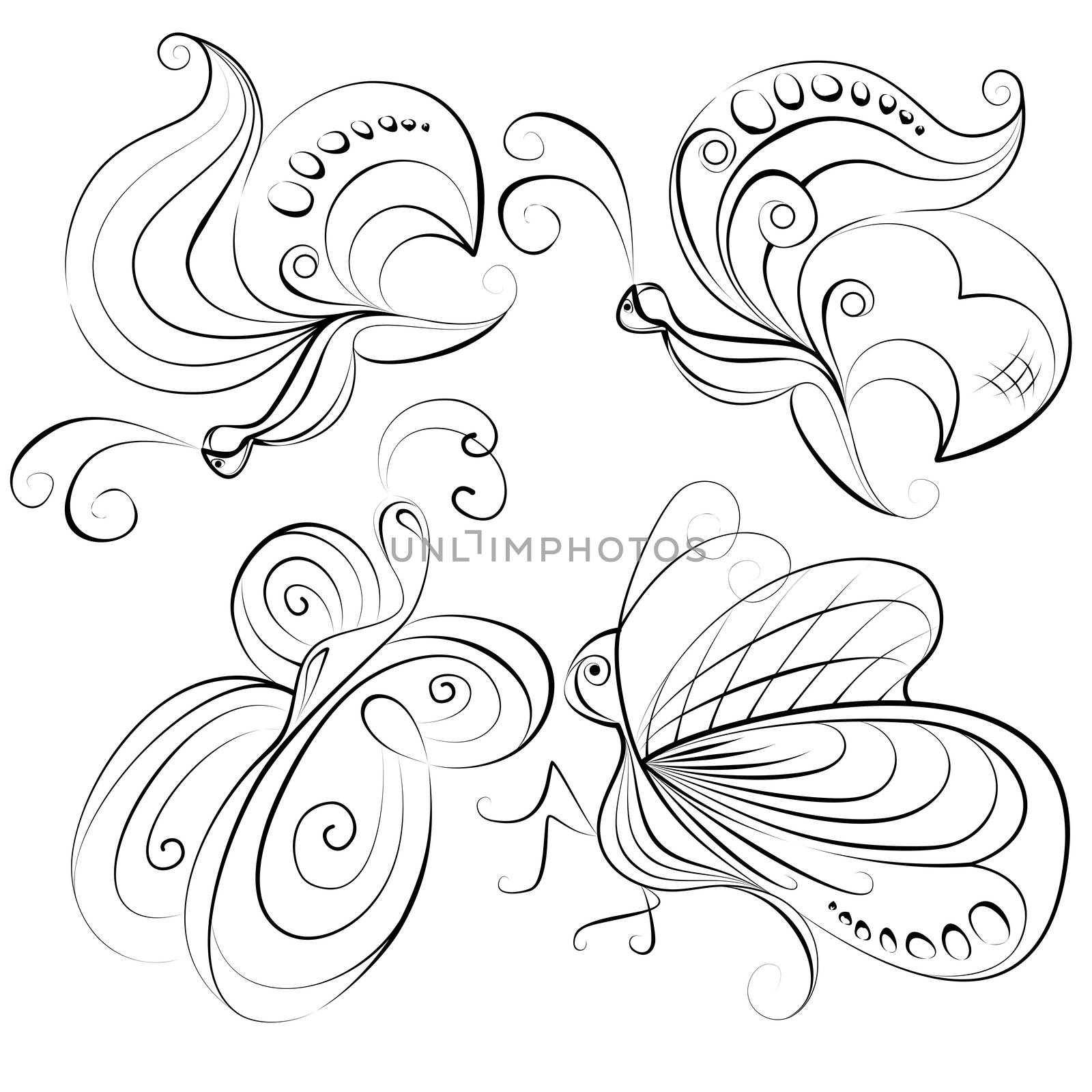 Illustration - four different butterflies without a fill color on a white background