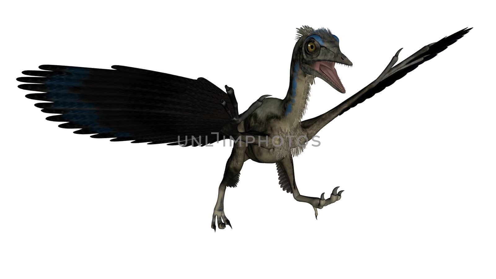 Archaeopteryx bird dinosaur landing - 3D render by Elenaphotos21