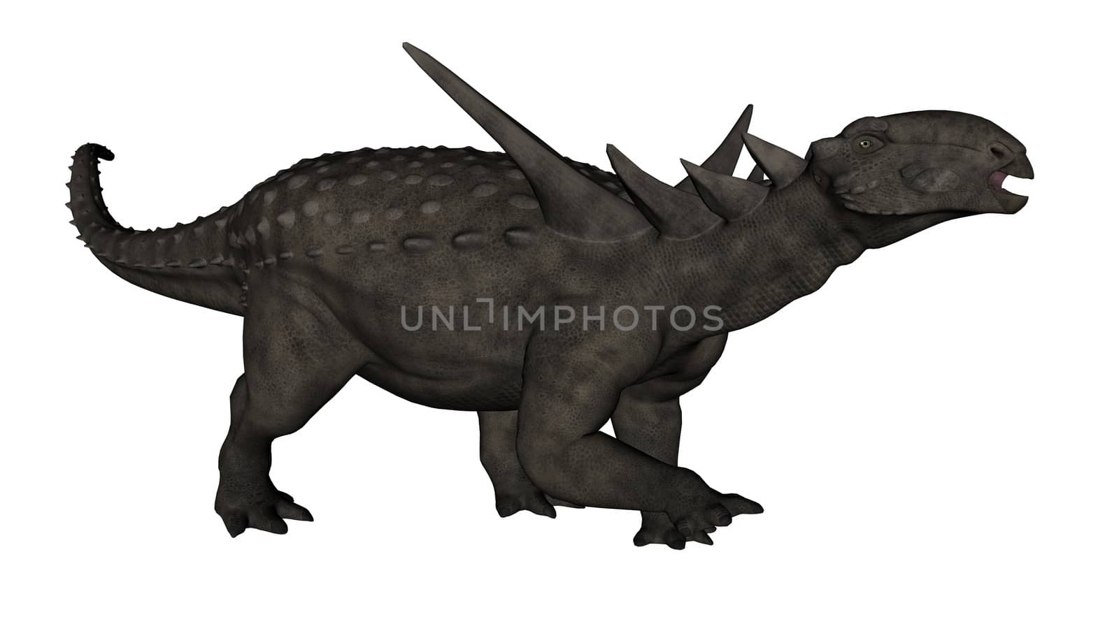 Sauropelta dinosaur - 3D render by Elenaphotos21