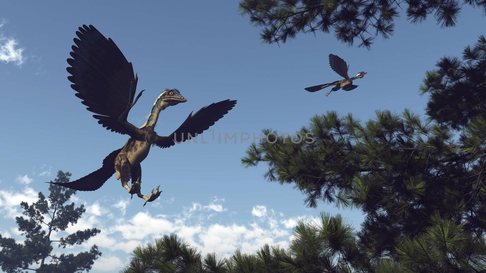 Archaeopteryx birds dinosaurs flying - 3D render by Elenaphotos21