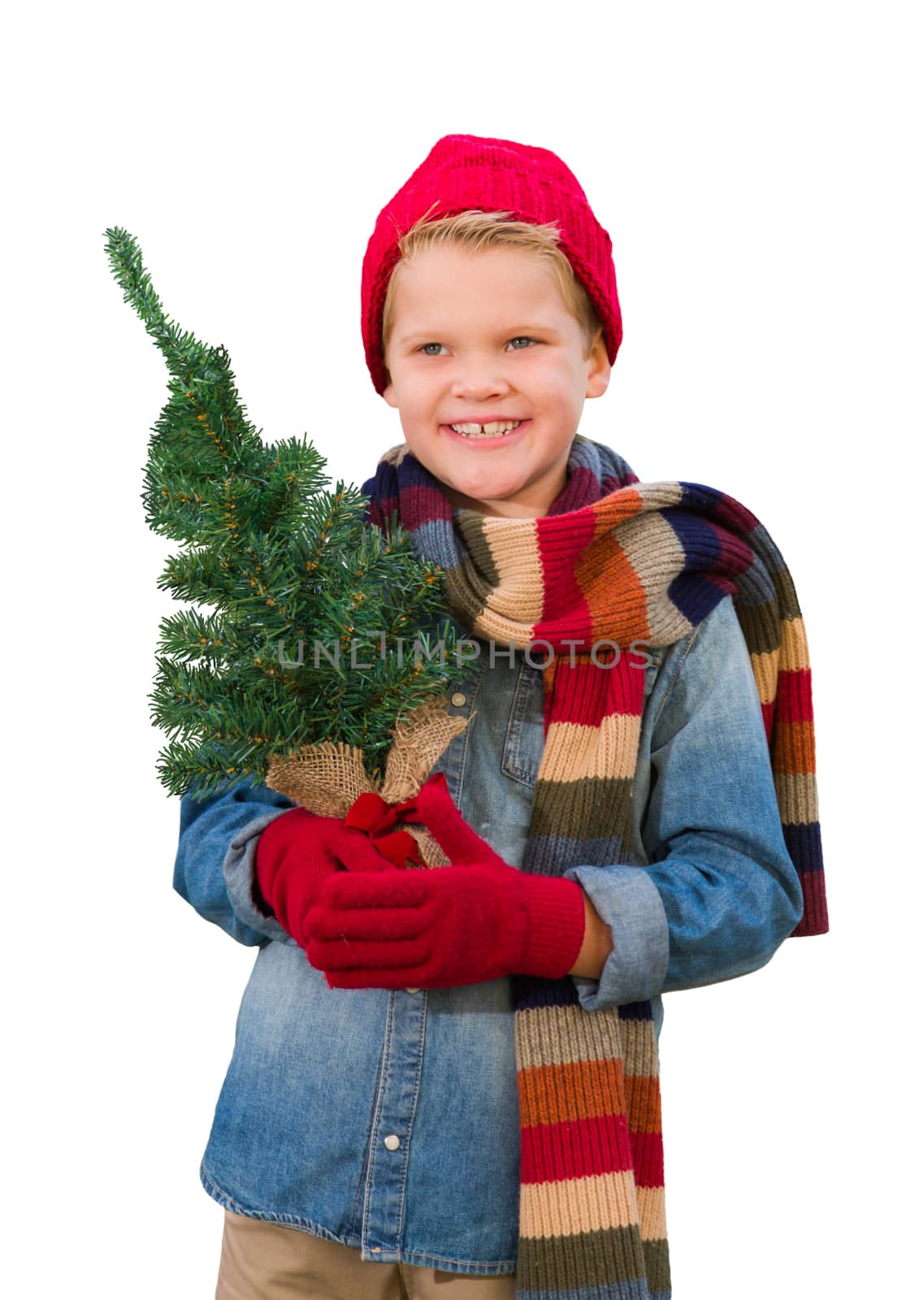 Young Boy Wearing Mittens and Scarf Holding Christmas Tree Isolated on a White Background.