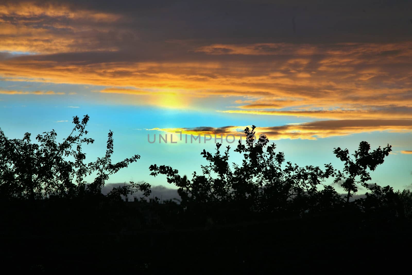 sky in sunset cloud colorful beautiful with silhouette trees in evening