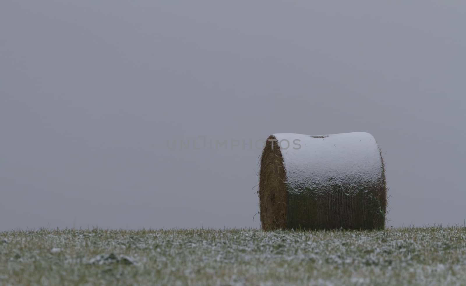 Snow rests on round hay bale on cold, gray day in Alberta, Canada.  Rural scene is farm pasture land near Pincher Creek.  Copy space available on horizontal image. 