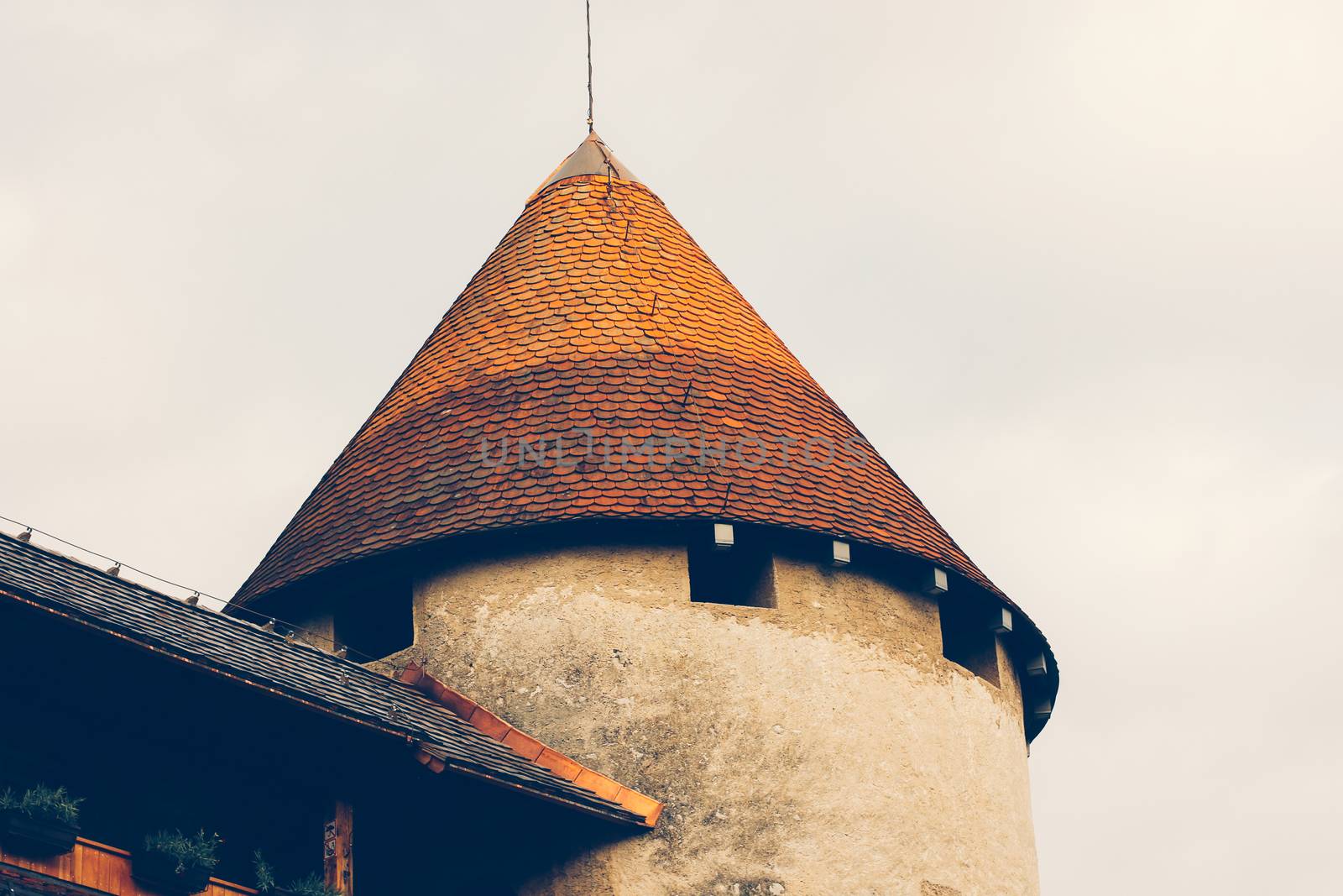 Bled Castle close up by sermax55