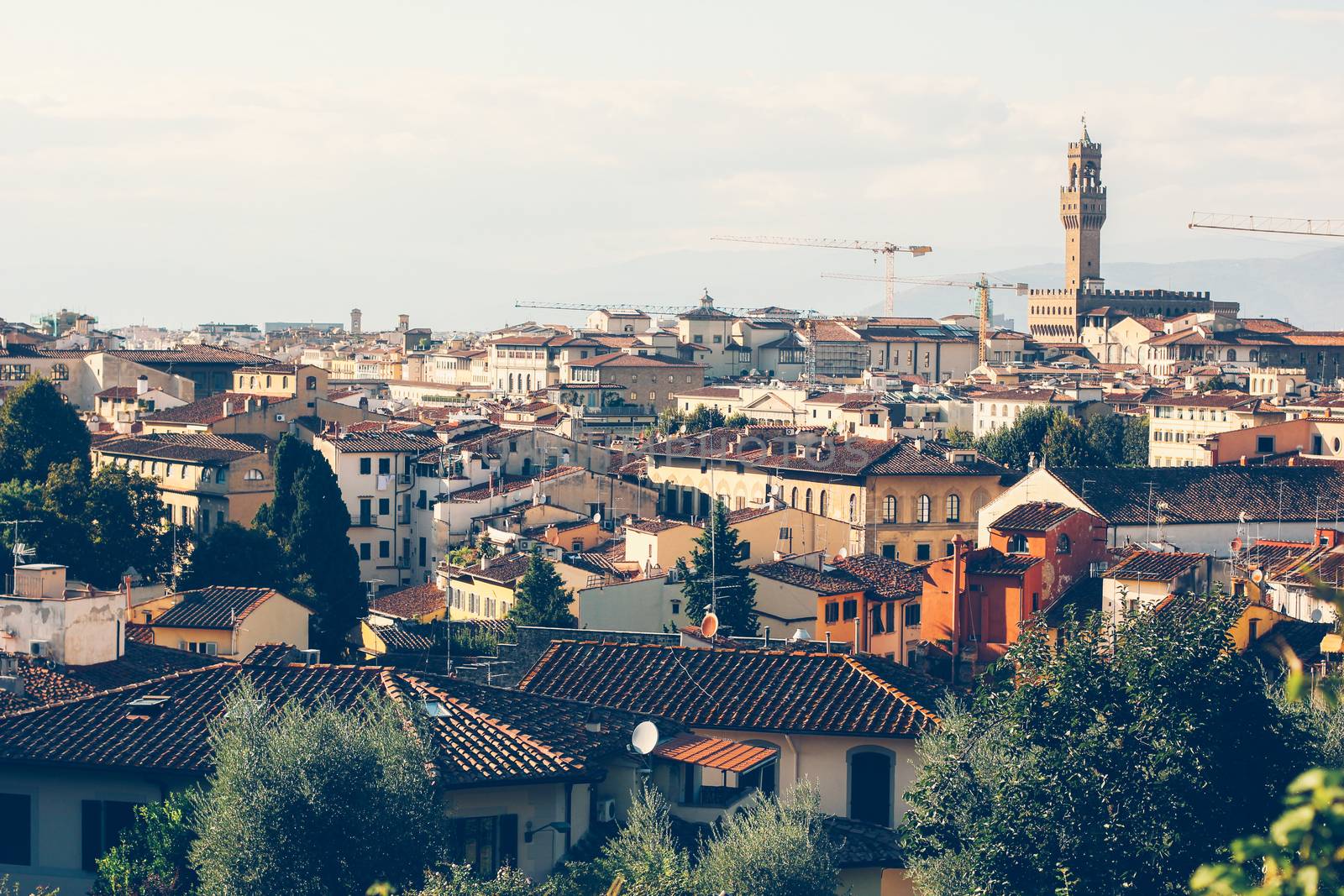 Cityscape of Florence, Italy, with the Cathedral and bell tower by sermax55