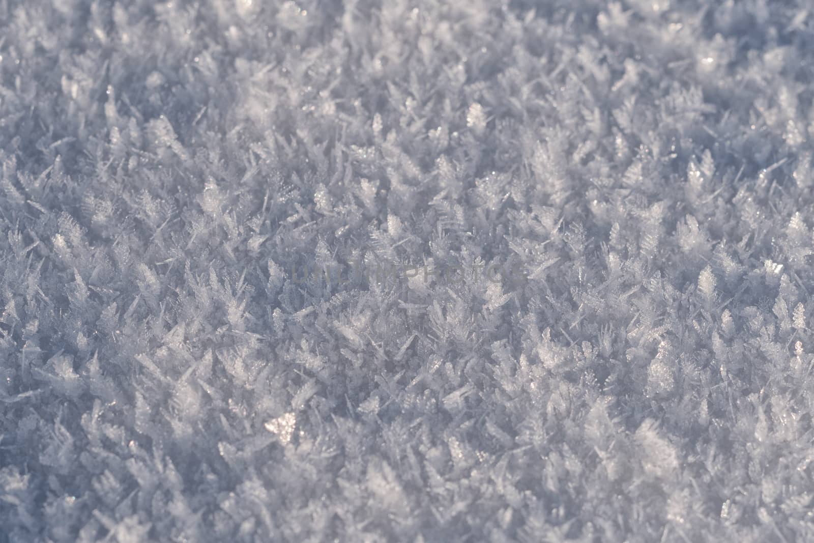 Detail of frozen snow with ice crystals
