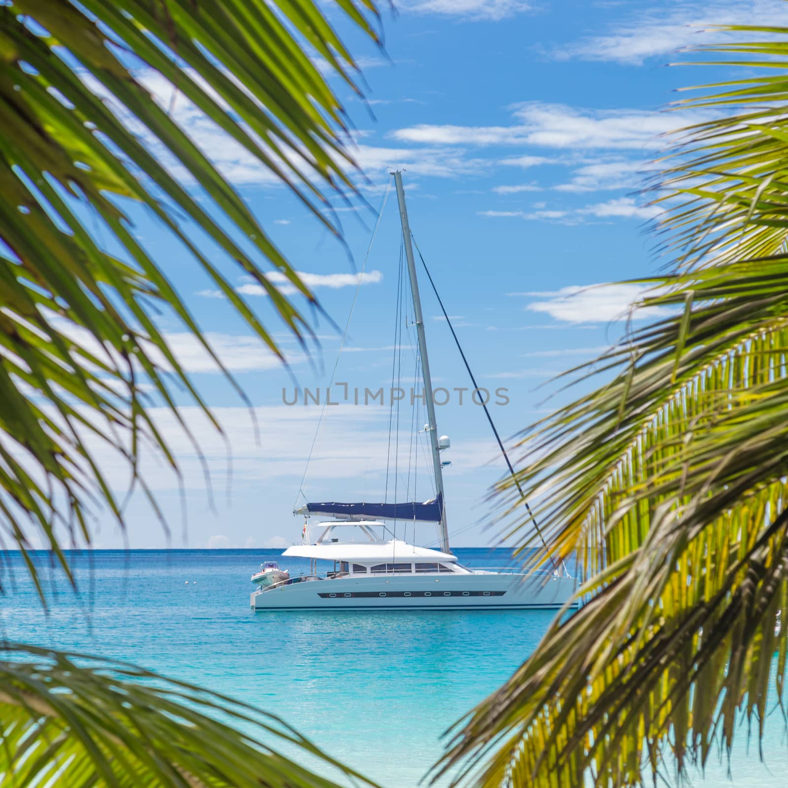 Catamaran sailing boat seen trough palm tree leaves on beach, Seychelles. by kasto