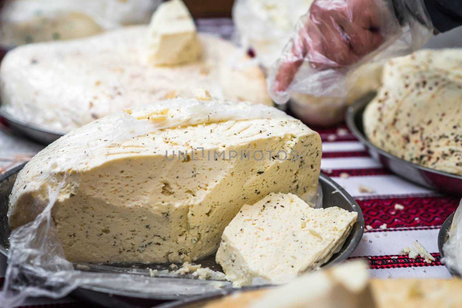 pieces of delicious white cheese with spices