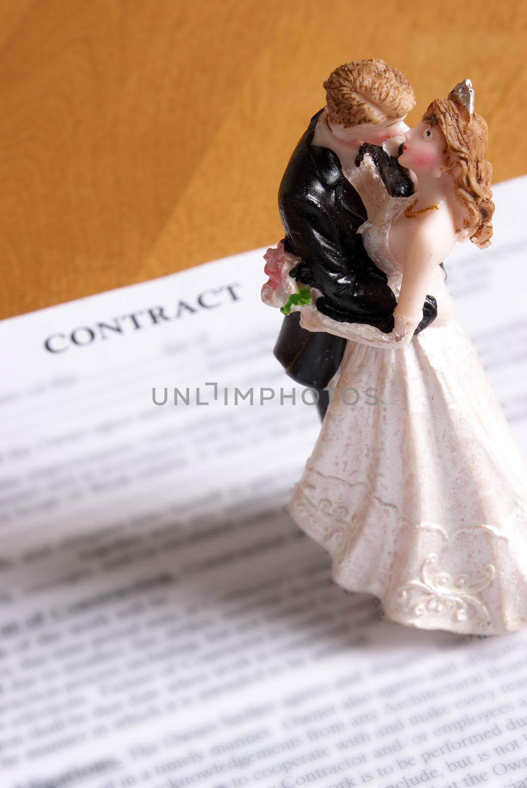 Legally Married Concept by AlphaBaby