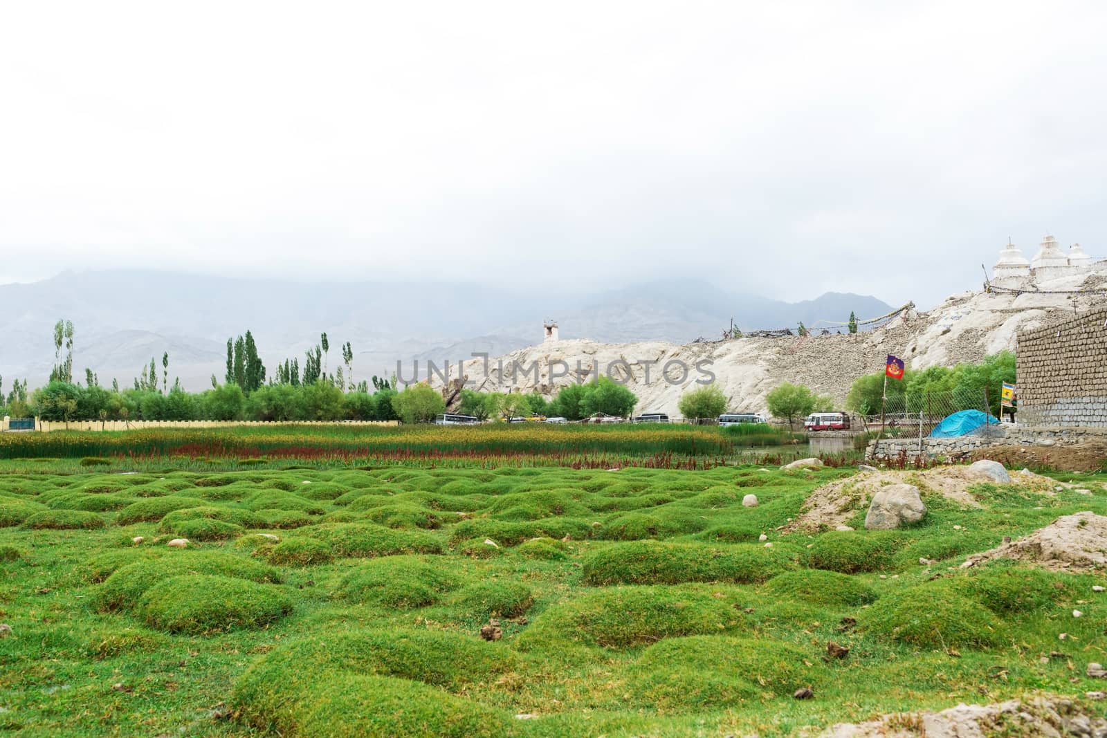 Natural landscape near Shey Palace located at Leh Ladakh, Jammu and Kashmir, India