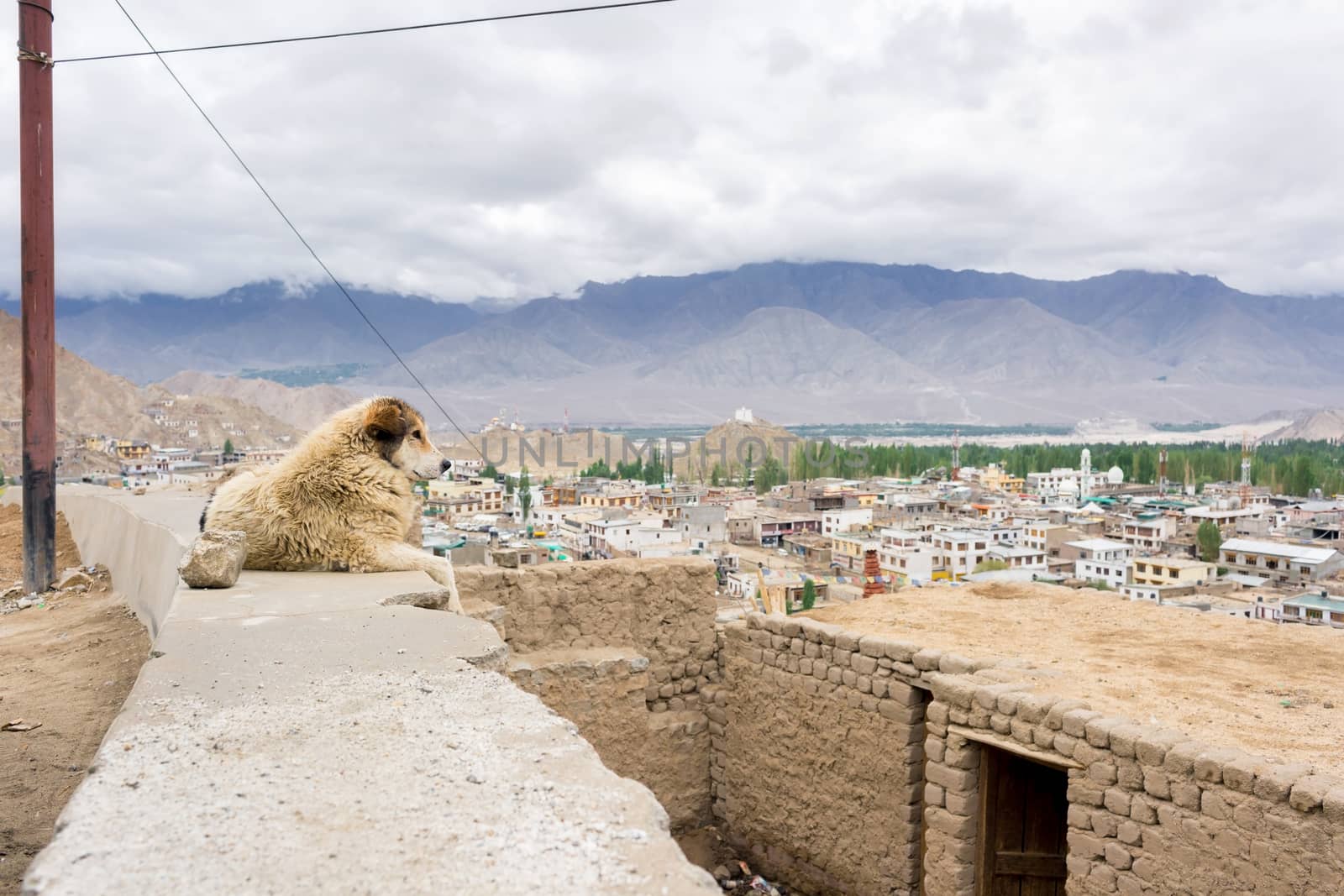 Leh palace in Leh Ladakh, Jammu and Kashmir, India