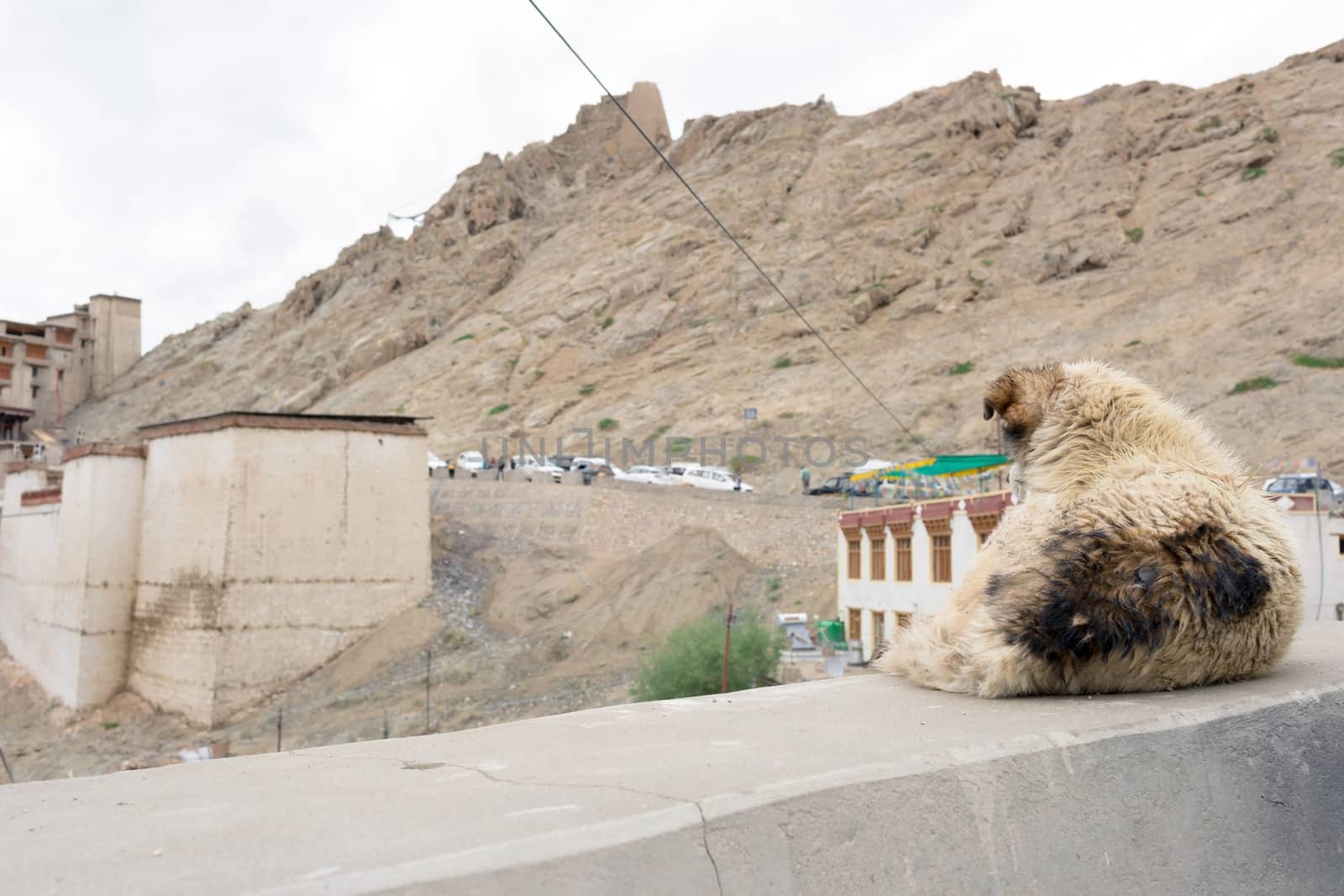Leh palace in Leh Ladakh, Jammu and Kashmir, India