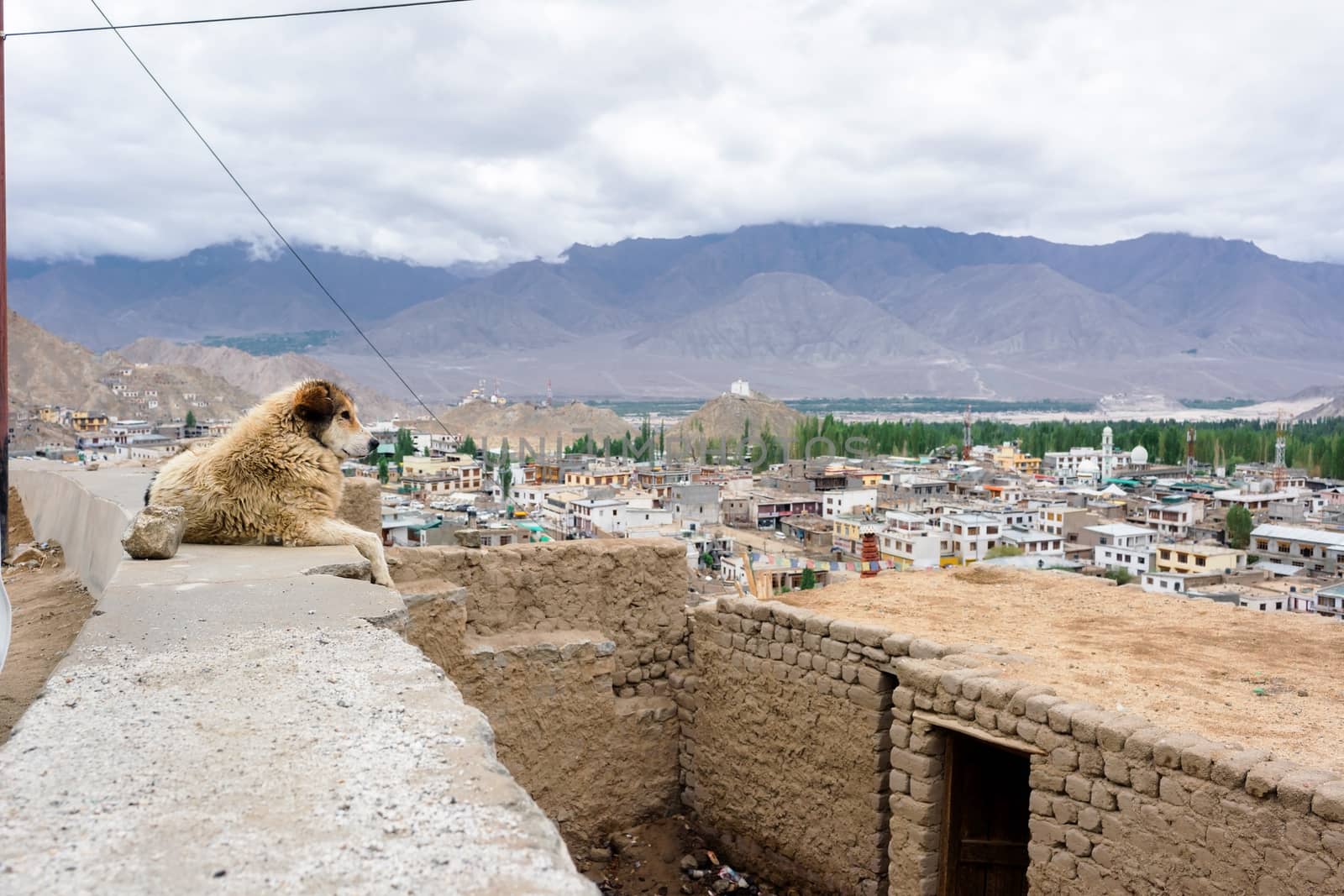 Leh palace in Leh Ladakh, Jammu and Kashmir, India