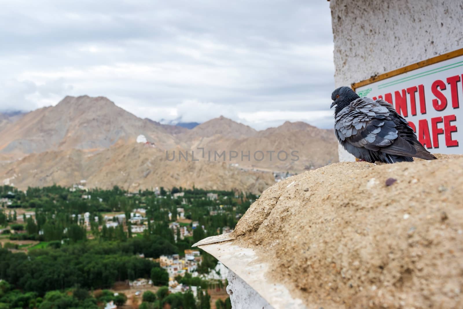 Shanti stupa in Leh Ladakh, Jammu and Kashmir, India
