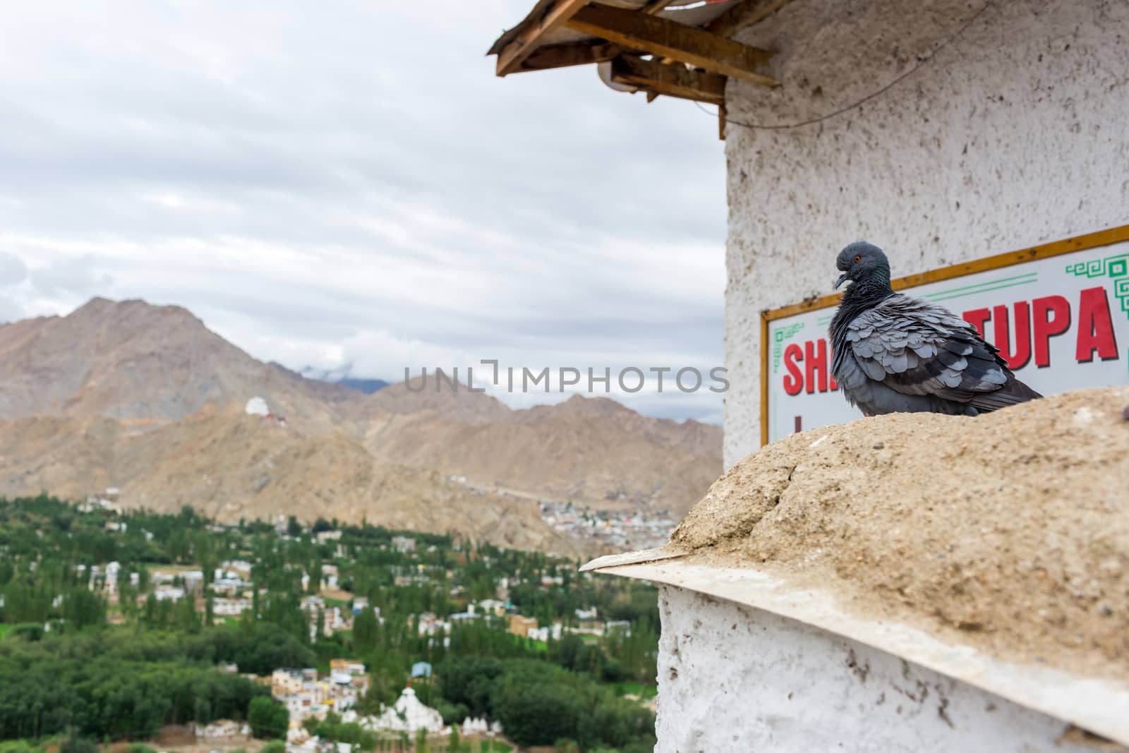 Shanti stupa in Leh Ladakh, Jammu and Kashmir, India