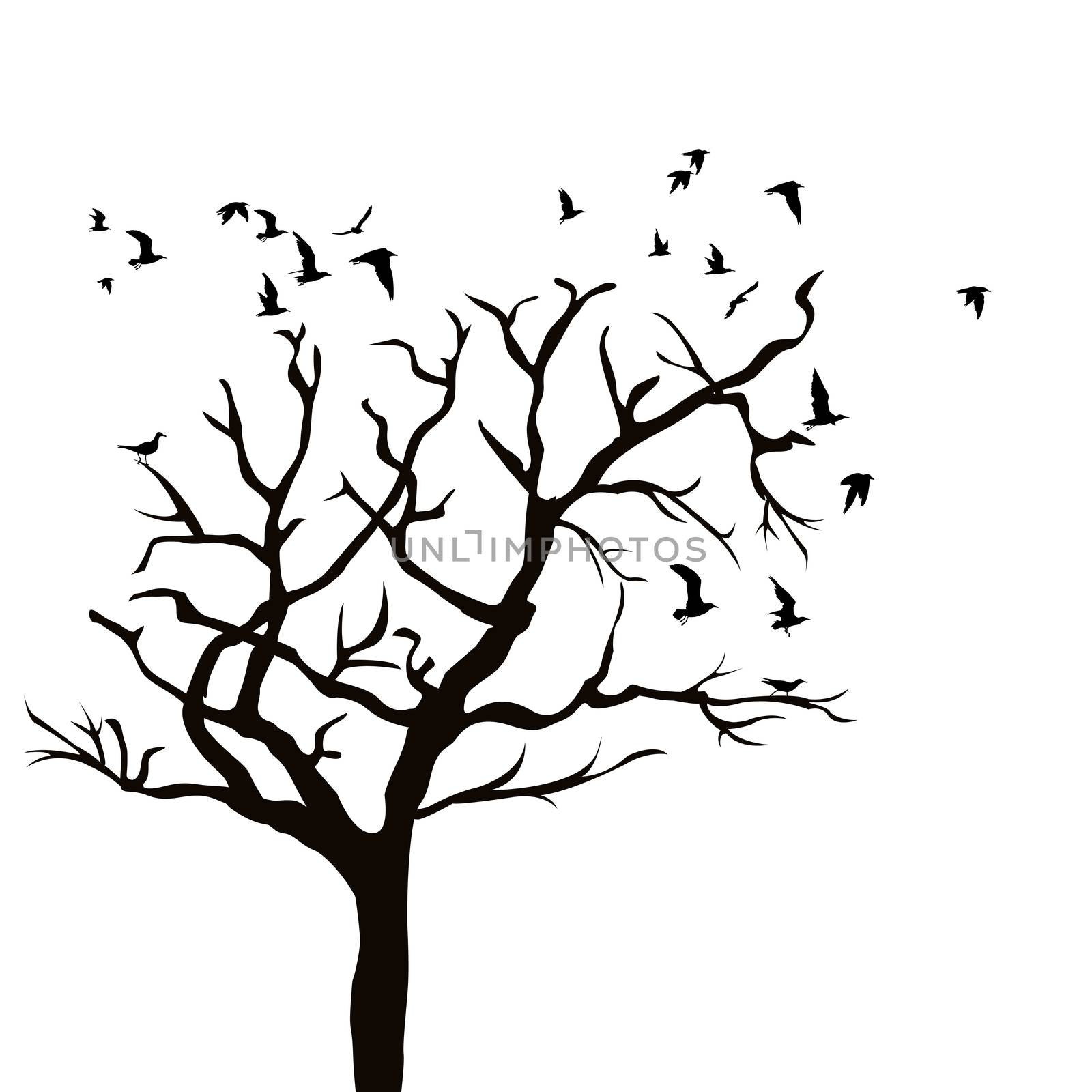 Silhouette of a tree without leaves and birds flying by hibrida13