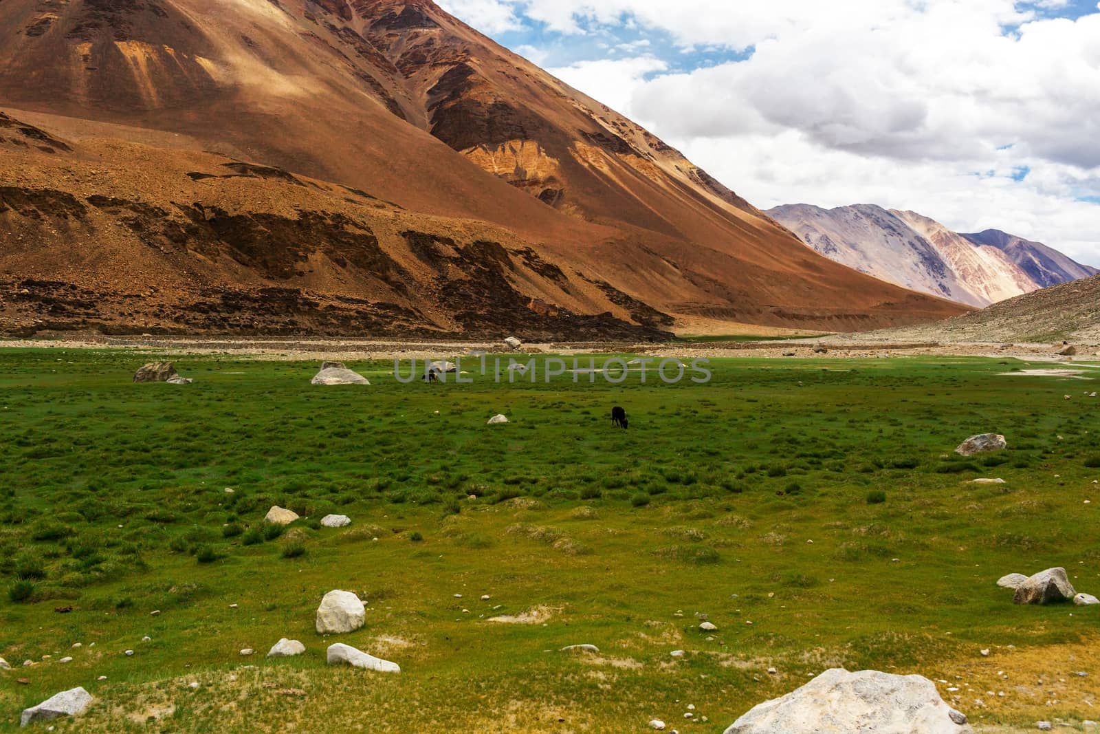 Natural landscape in Leh Ladakh, Jammu and Kashmir, India