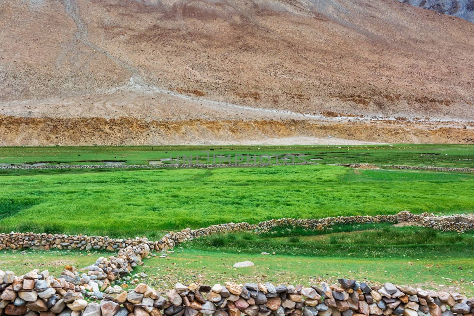Natural landscape in Leh Ladakh, Jammu and Kashmir, India