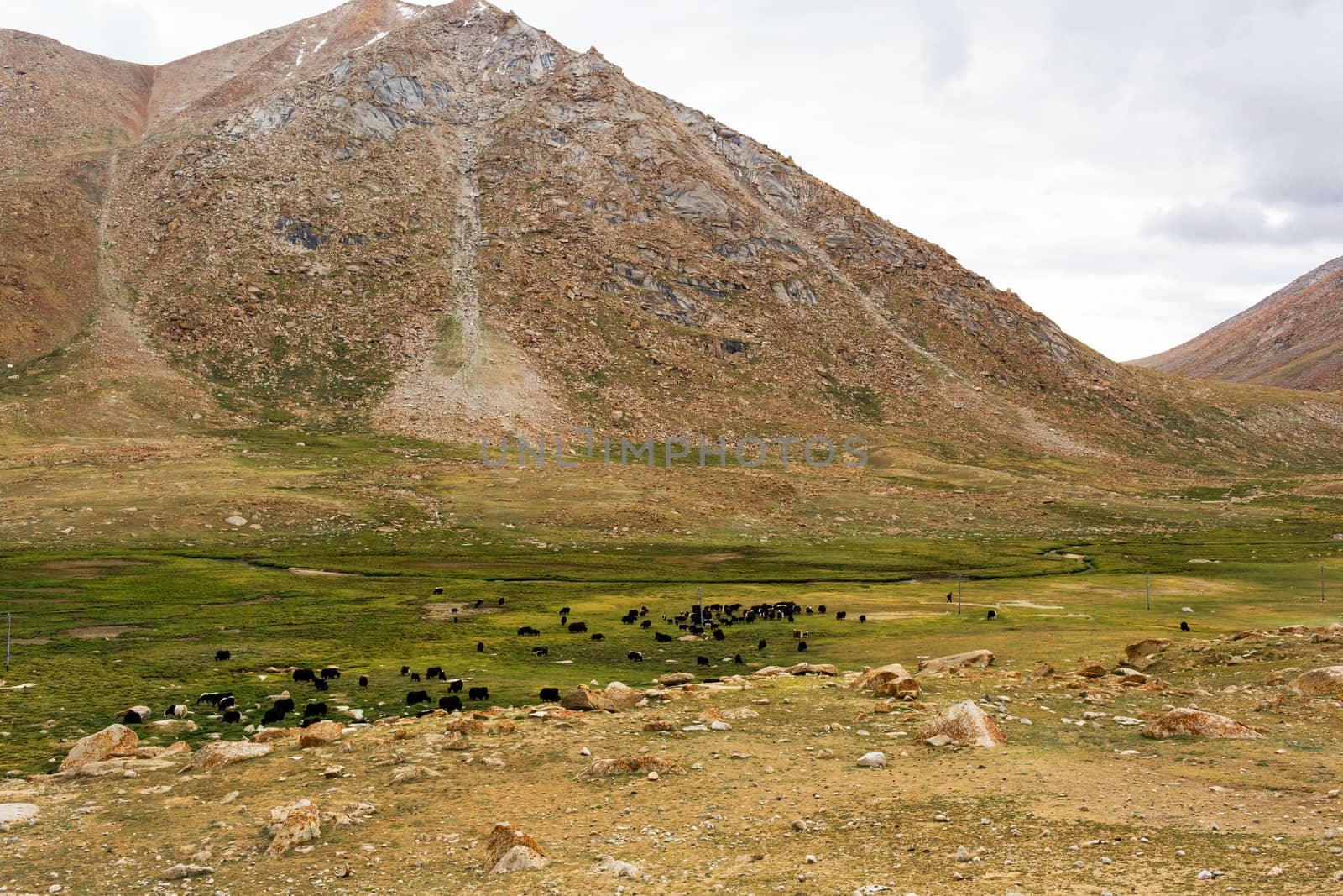 Natural landscape in Leh Ladakh, Jammu and Kashmir, India