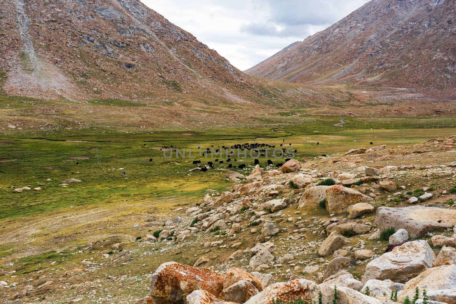 Natural landscape in Leh Ladakh, Jammu and Kashmir, India