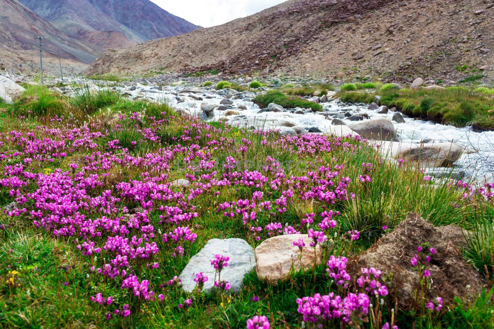 Natural landscape in Leh Ladakh, Jammu and Kashmir, India
