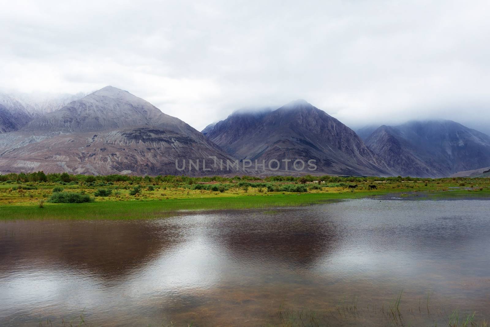 Natural landscape in Nubra valley, Leh Ladakh, Jammu and Kashmir, India