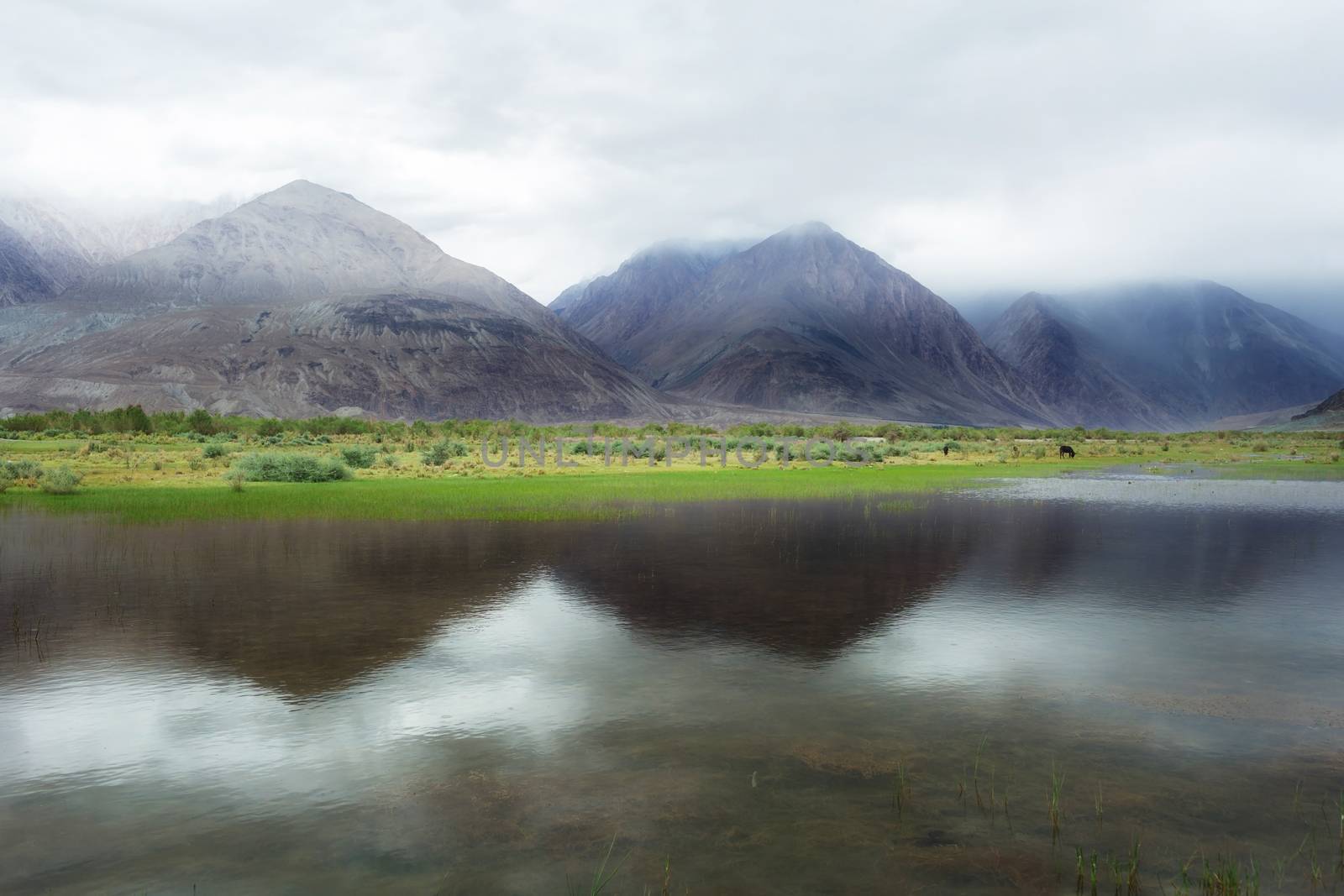Natural landscape in Nubra valley, Leh Ladakh, Jammu and Kashmir, India