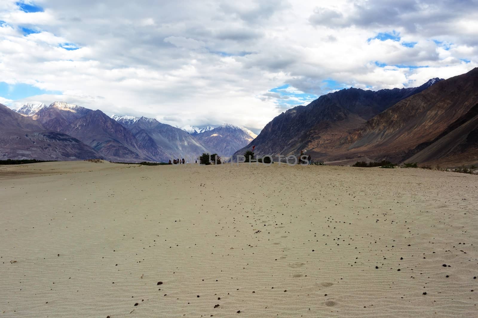 Hunder Sand Dunes of Nubra Valley in Leh Ladakh, Jammu and Kashmir, India