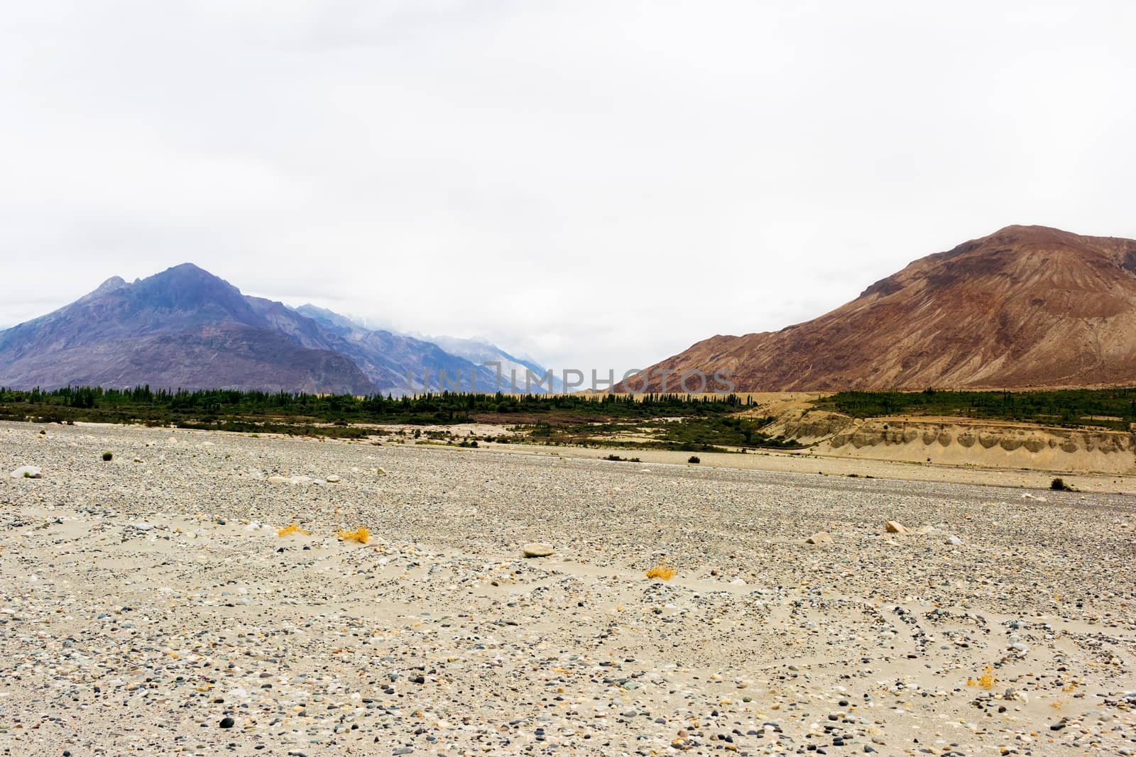 Natural landscape in Leh Ladakh, Jammu and Kashmir, India