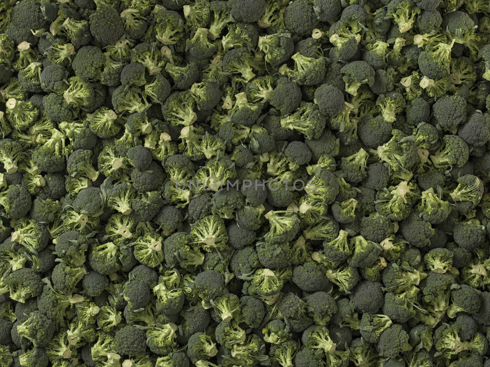 closeup of green vegetables: cut broccoli. Broccoli texture closeup for any ideas. Fresh vegetables concept.
