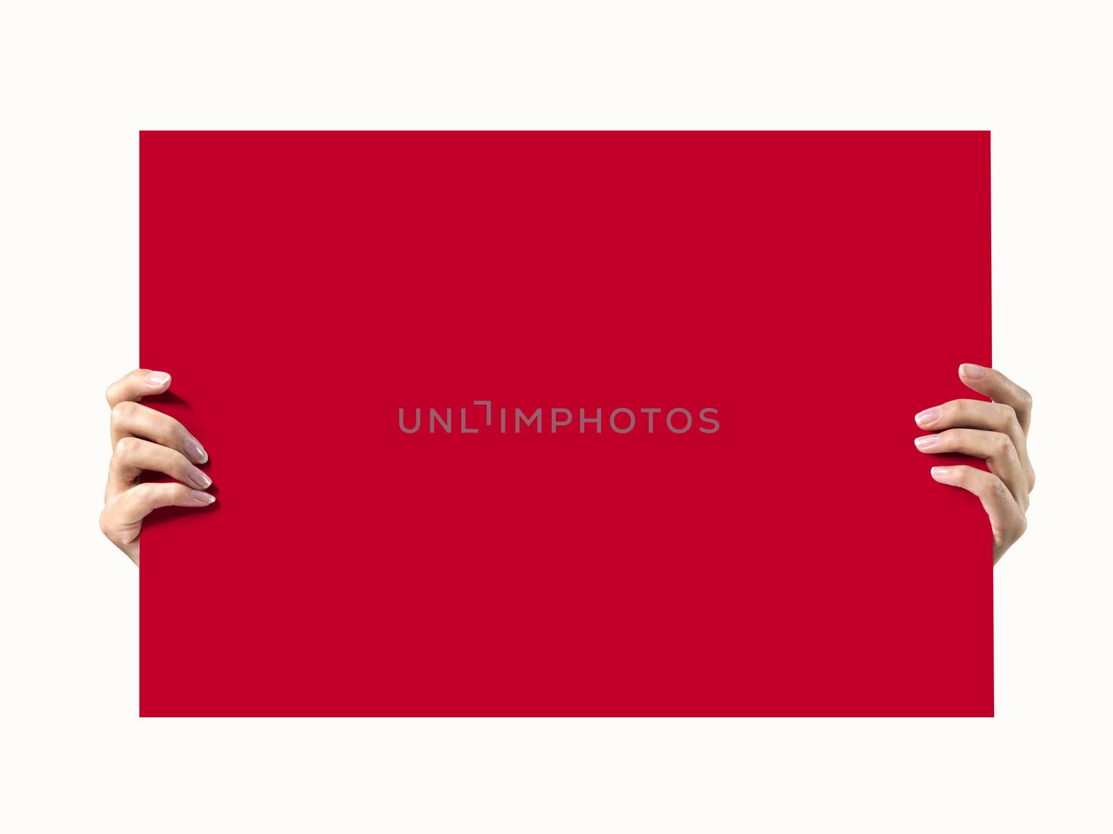  Woman hands holding a piece of red paper. Isolated on white. by janssenkruseproductions