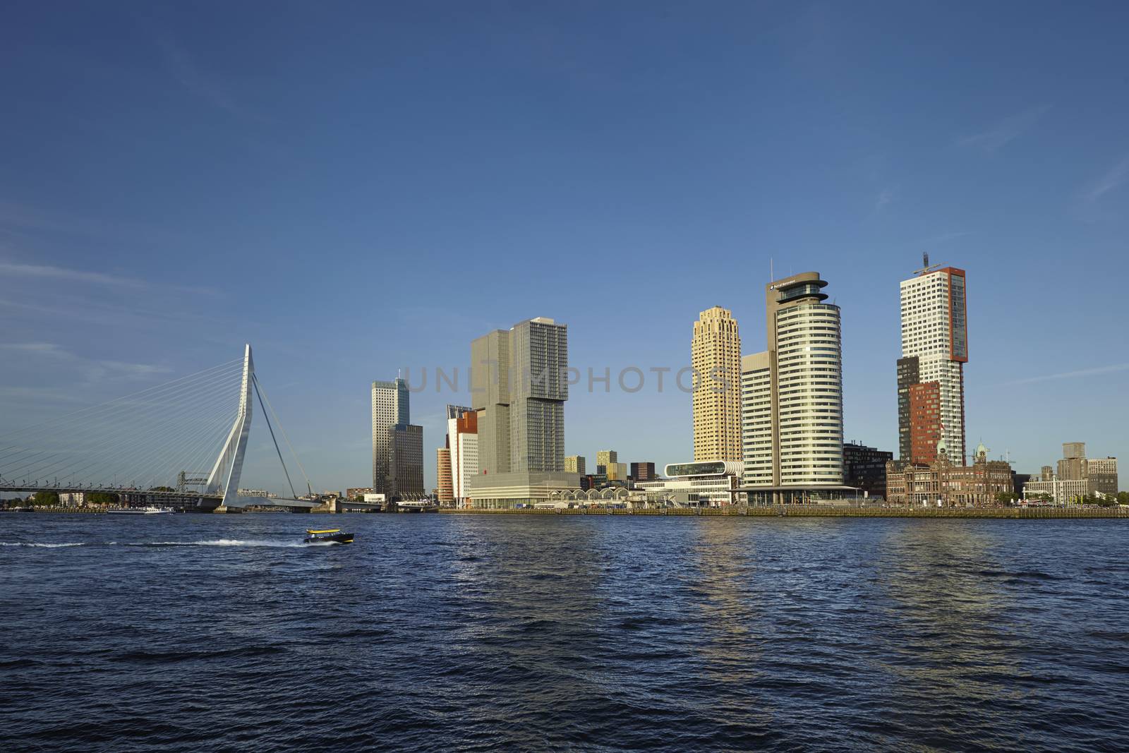 Rotterdam skyline with Erasmus Bridge. Rotterdam, South Holland, Netherlands.