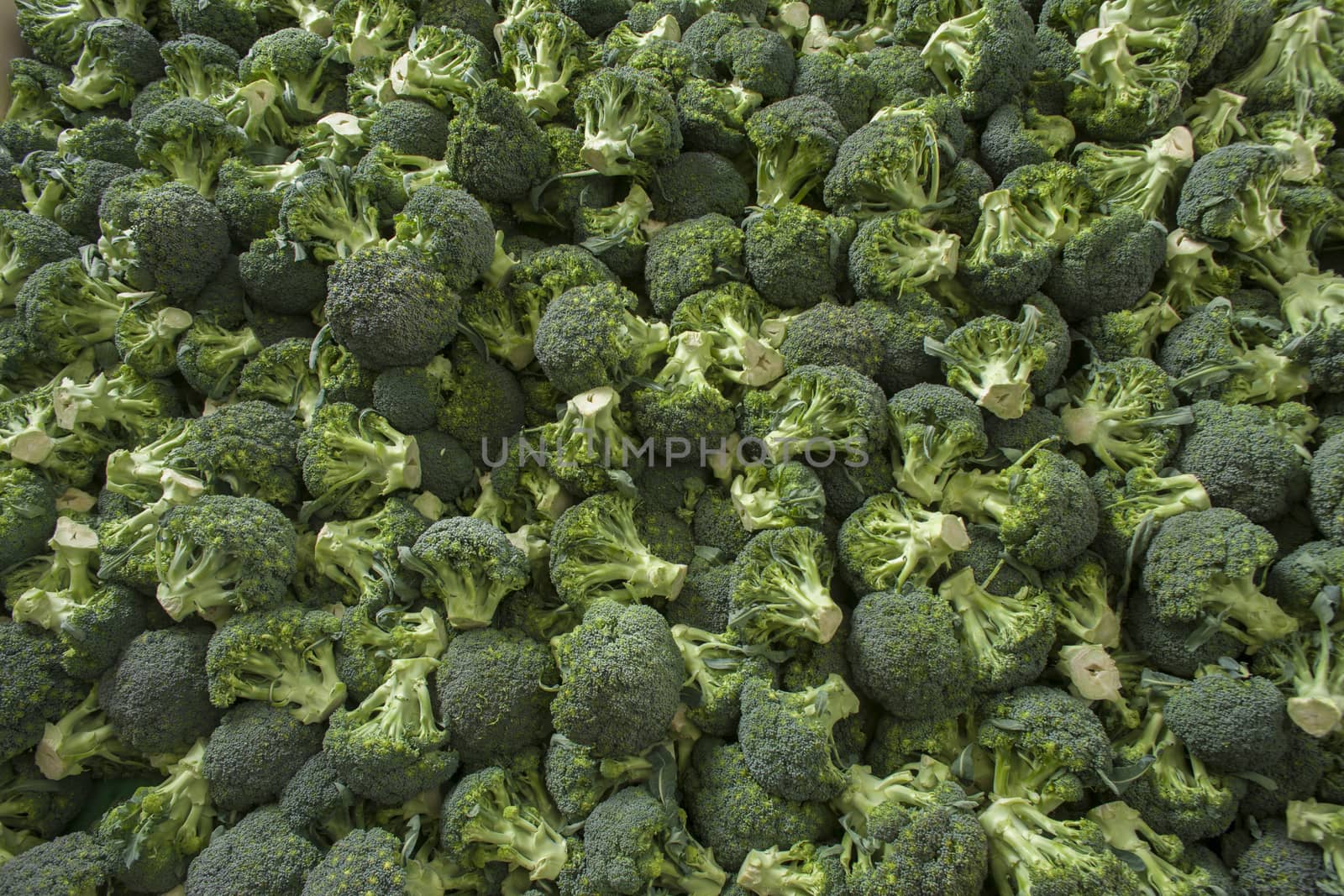 Very large group of fresh green broccoli by janssenkruseproductions