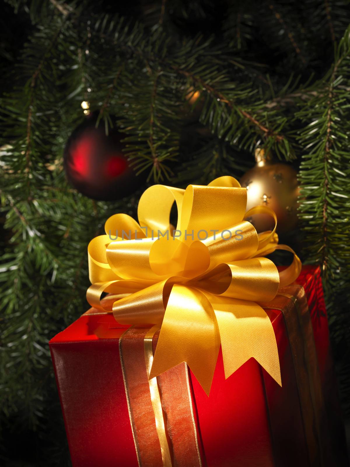 Christmas gift with a tree in the background by janssenkruseproductions