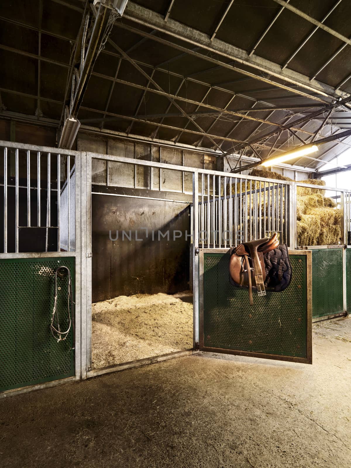 riding school with horse stable by janssenkruseproductions