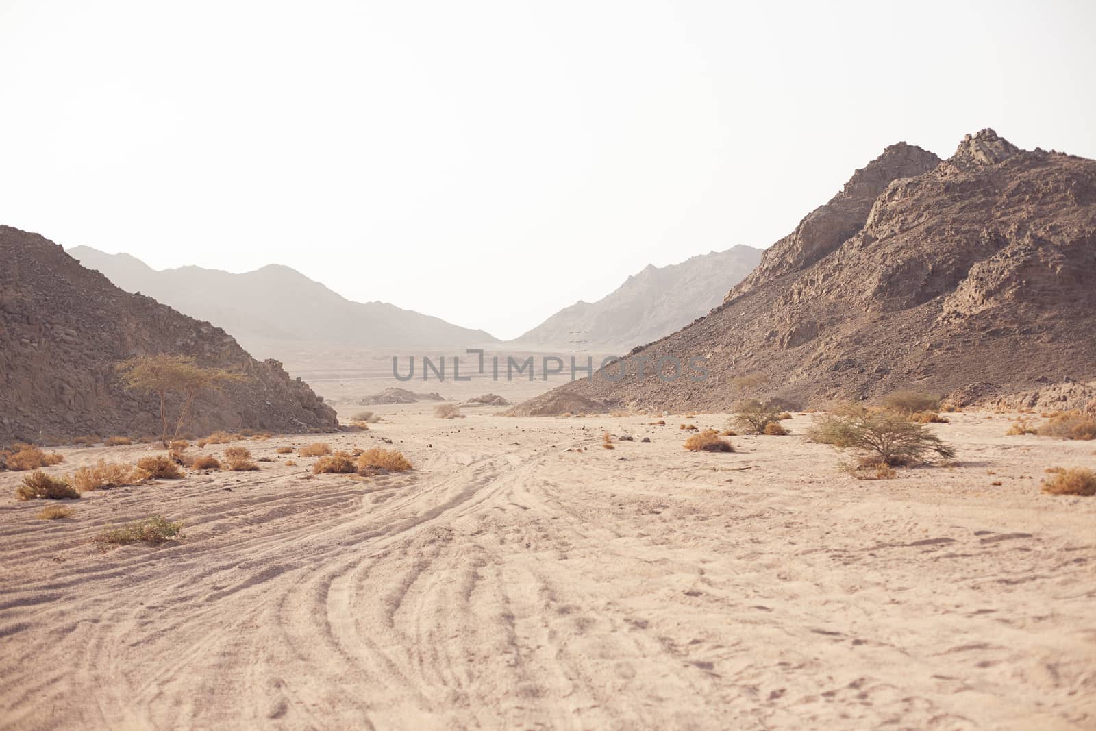 Mountain in desert by Vanzyst