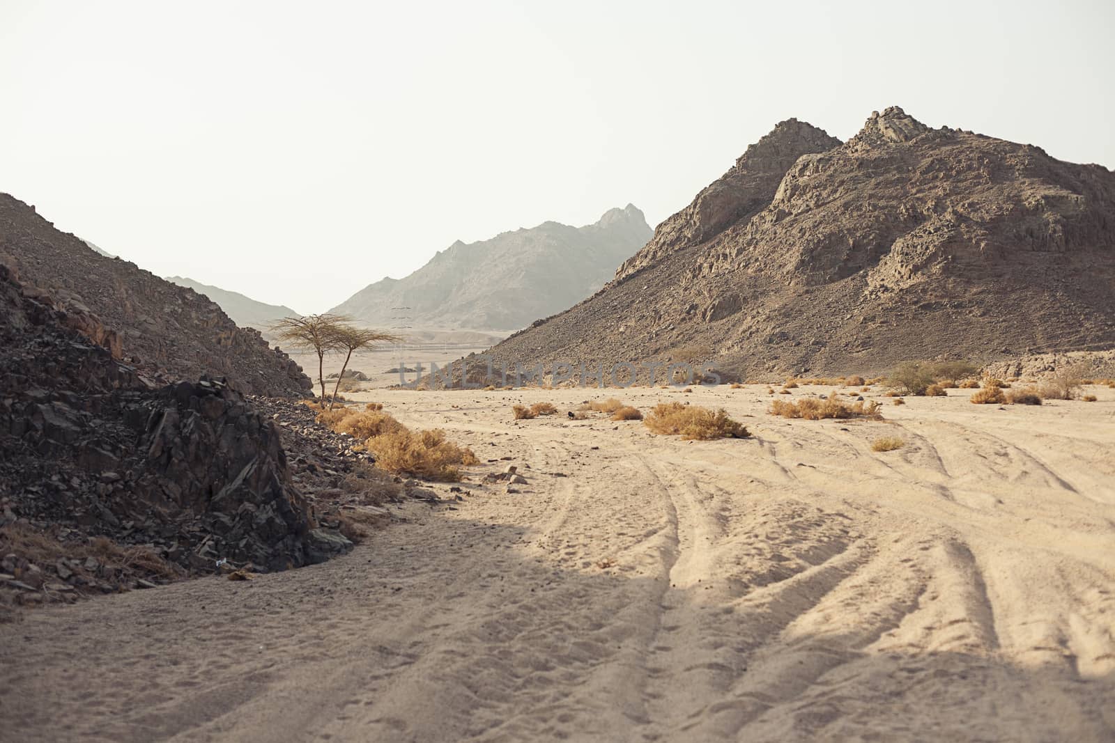 Mountain in desert by Vanzyst