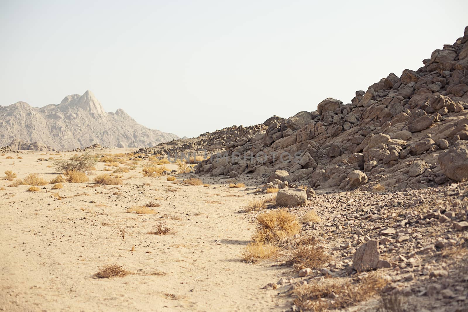 Mountain in desert by Vanzyst