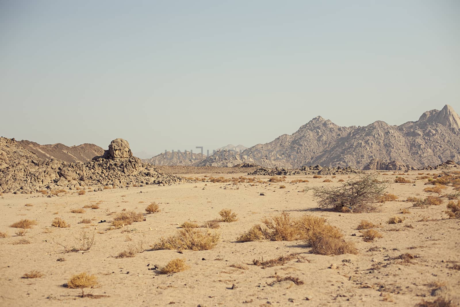 Mountain in desert by Vanzyst