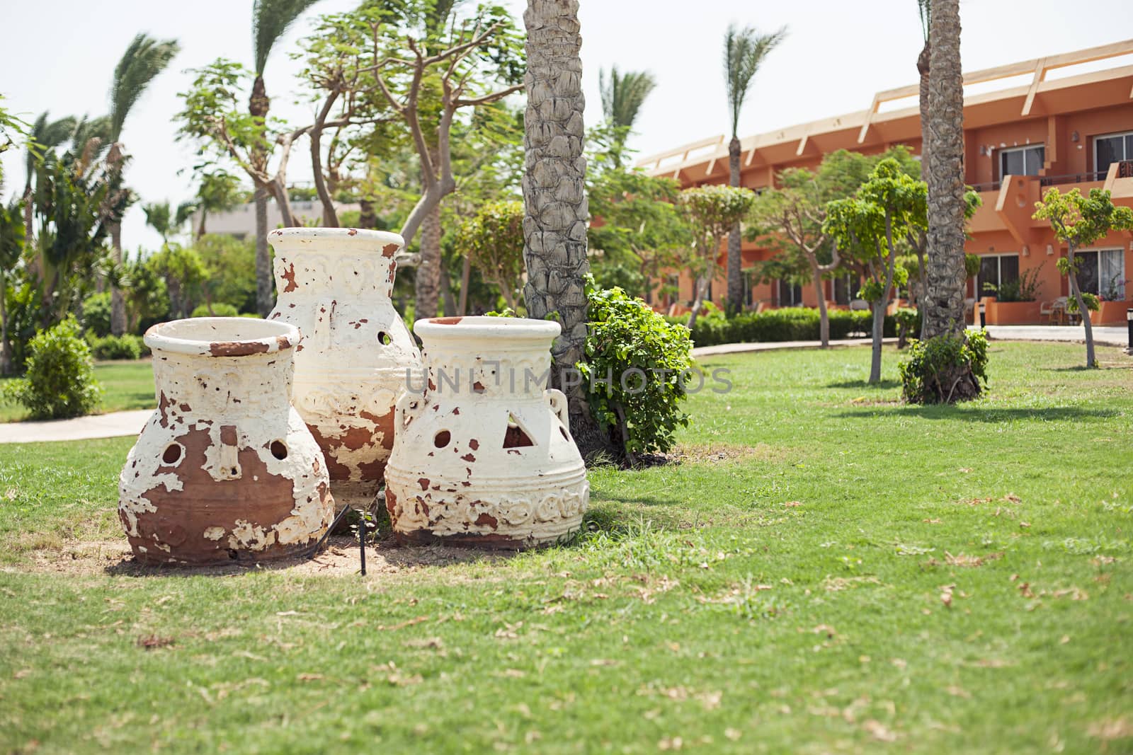 Green bush park road in Sharm el Sheikh, Egypt