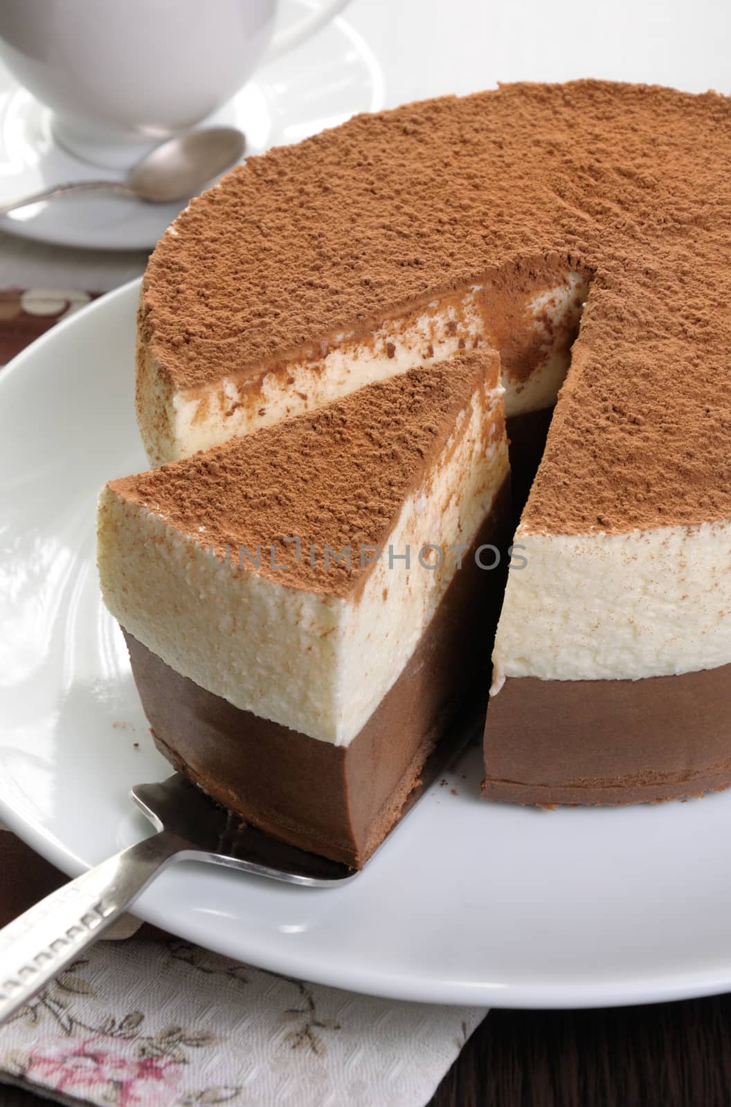 Cut a piece of chocolate with vanilla mousse cake covered  cocoa
