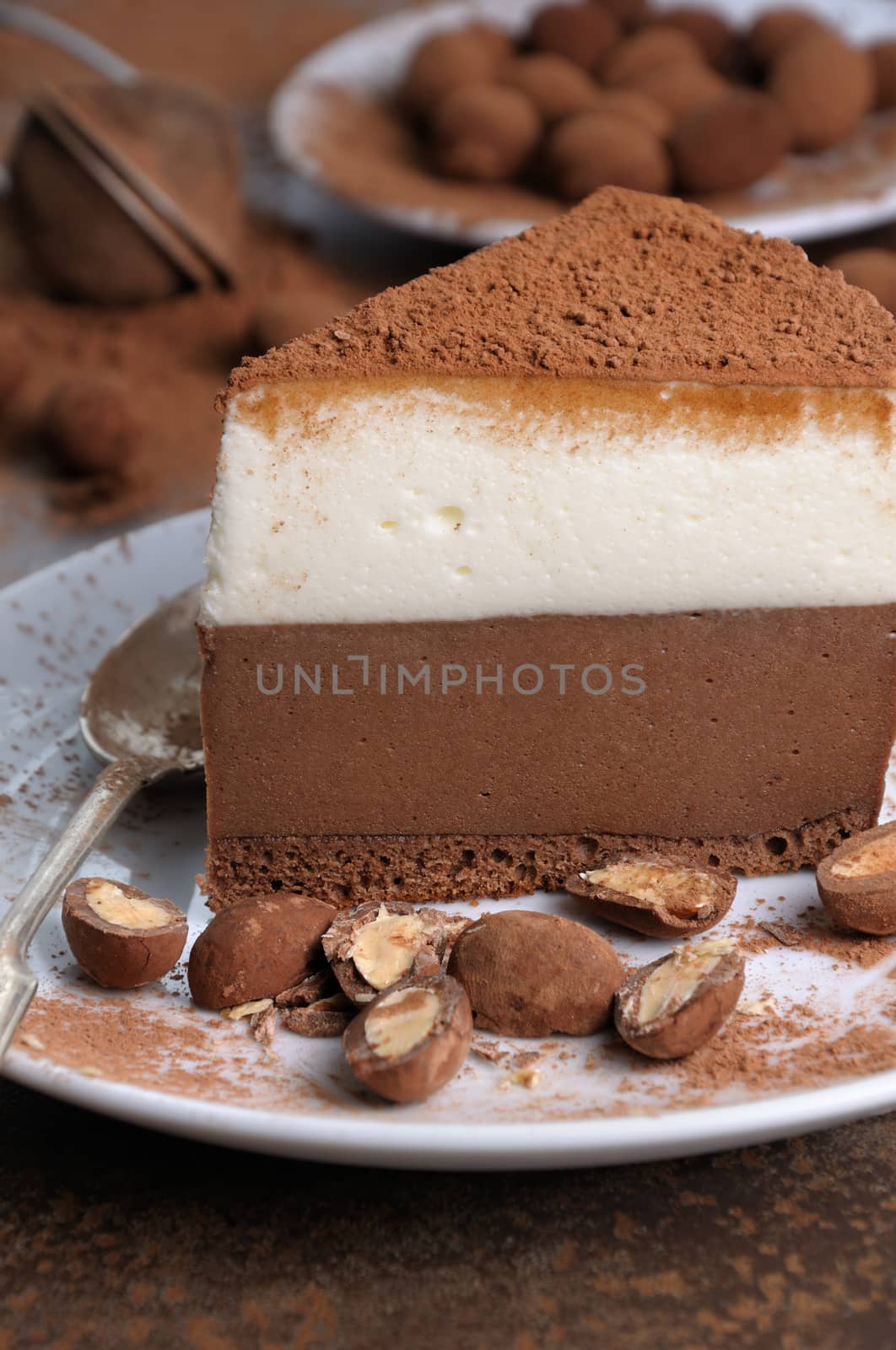 a piece of chocolate with vanilla mousse cake covered  cocoa