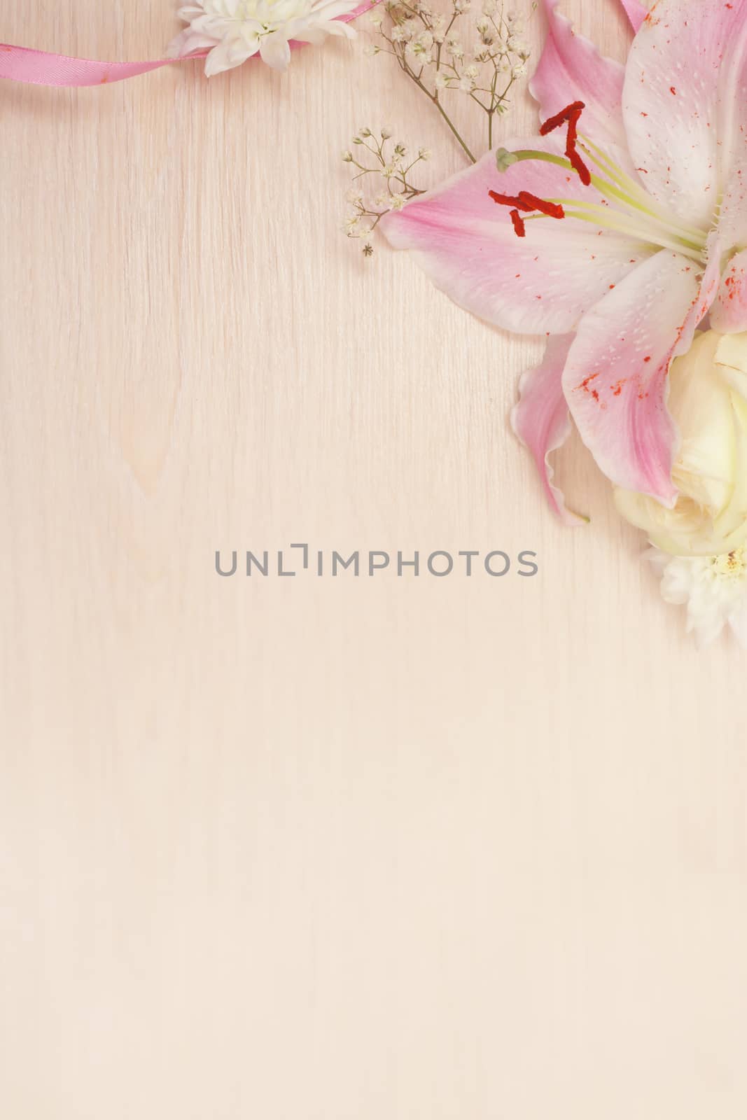 Lily on wooden background by destillat