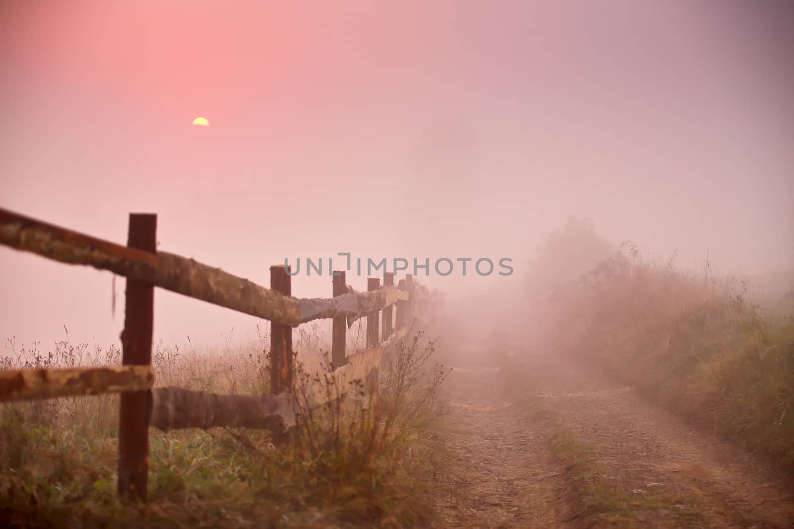 Foggy rural scene. Fence and dirt road at misty morning by weise_maxim