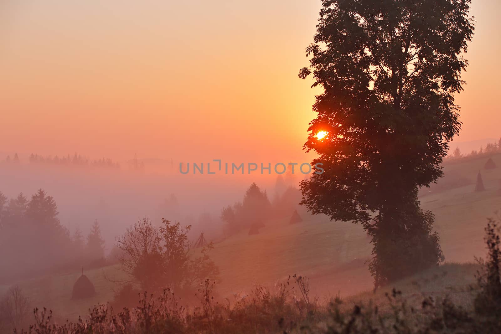 Foggy morning. Misty rural hills. Foggy autumn sunrise in mountains.