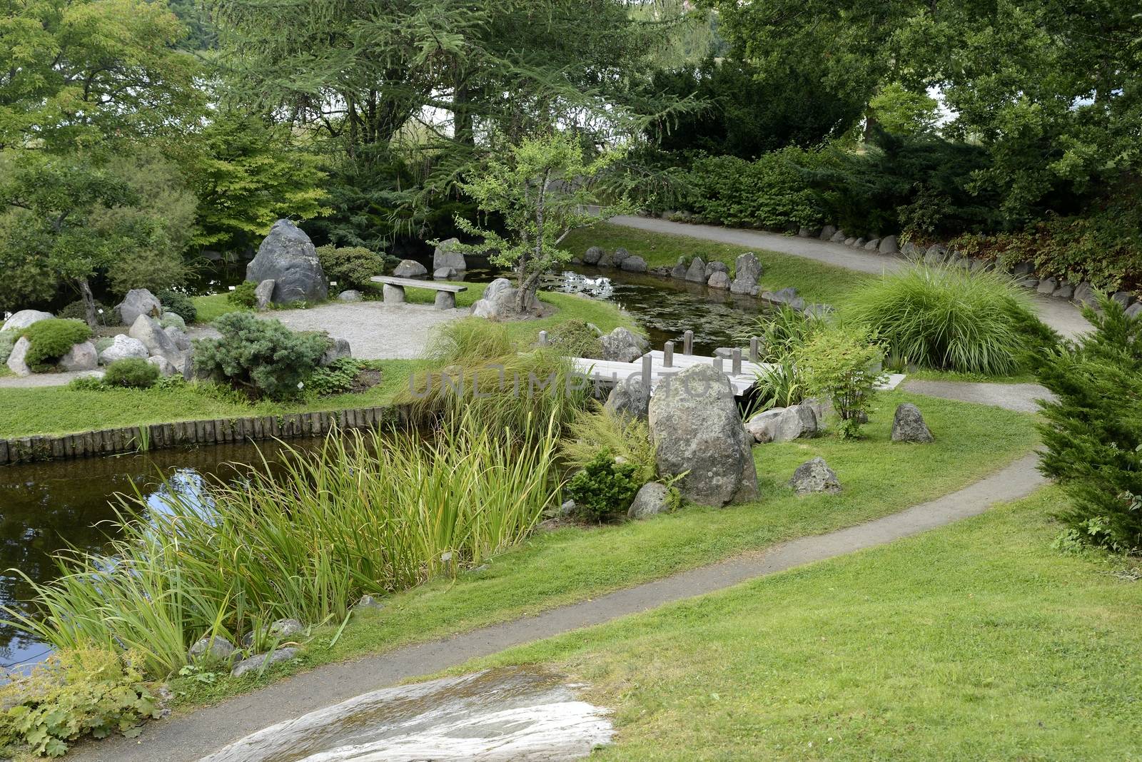 Japanese Garden with no people in Bergianska Botanical Garden. Bergianska Botanical Garden is a public garden located in Frescati next to Brunnsviken, at Norra Djurgården in Stockholm - Sweden.