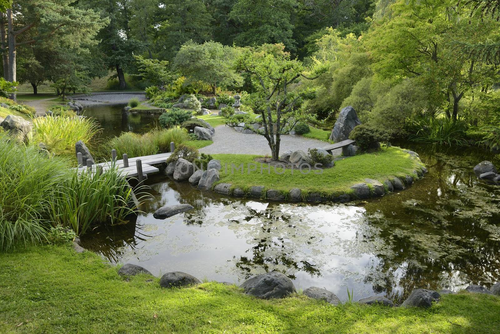 Japanese Garden by a40757